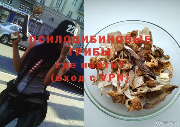 прущие крисы Корсаков