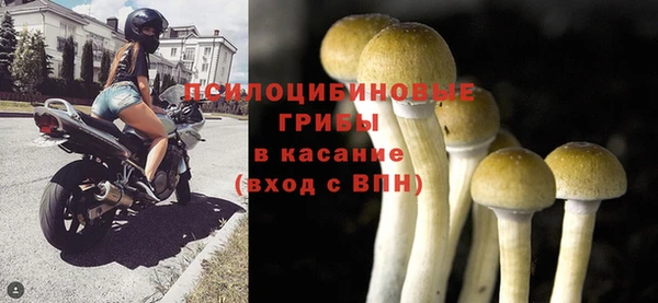 бошки Краснослободск